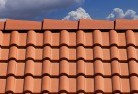 Hartleyroof-conversions-4.jpg; ?>